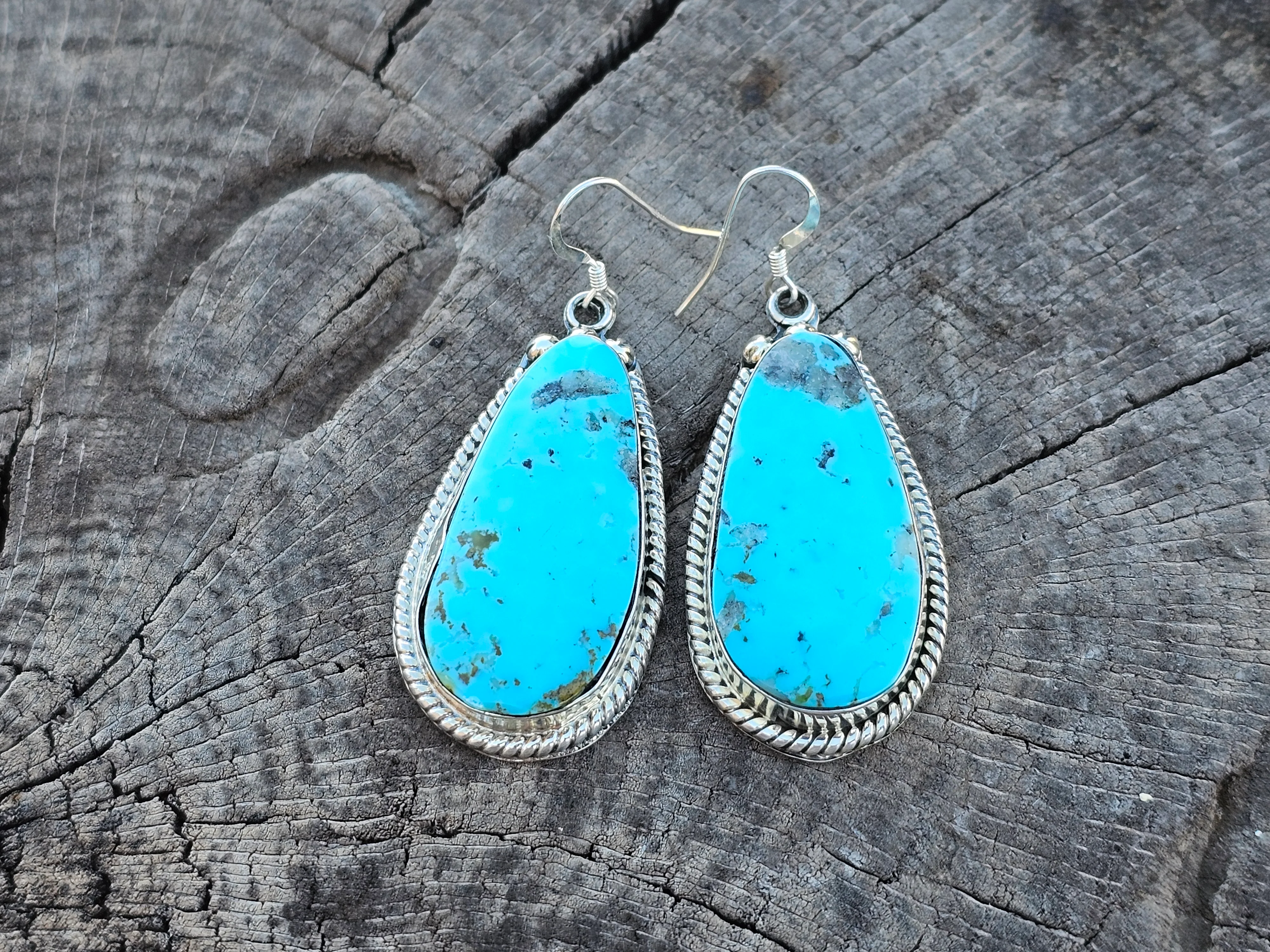 Blast from the Past Earrings - Image 2