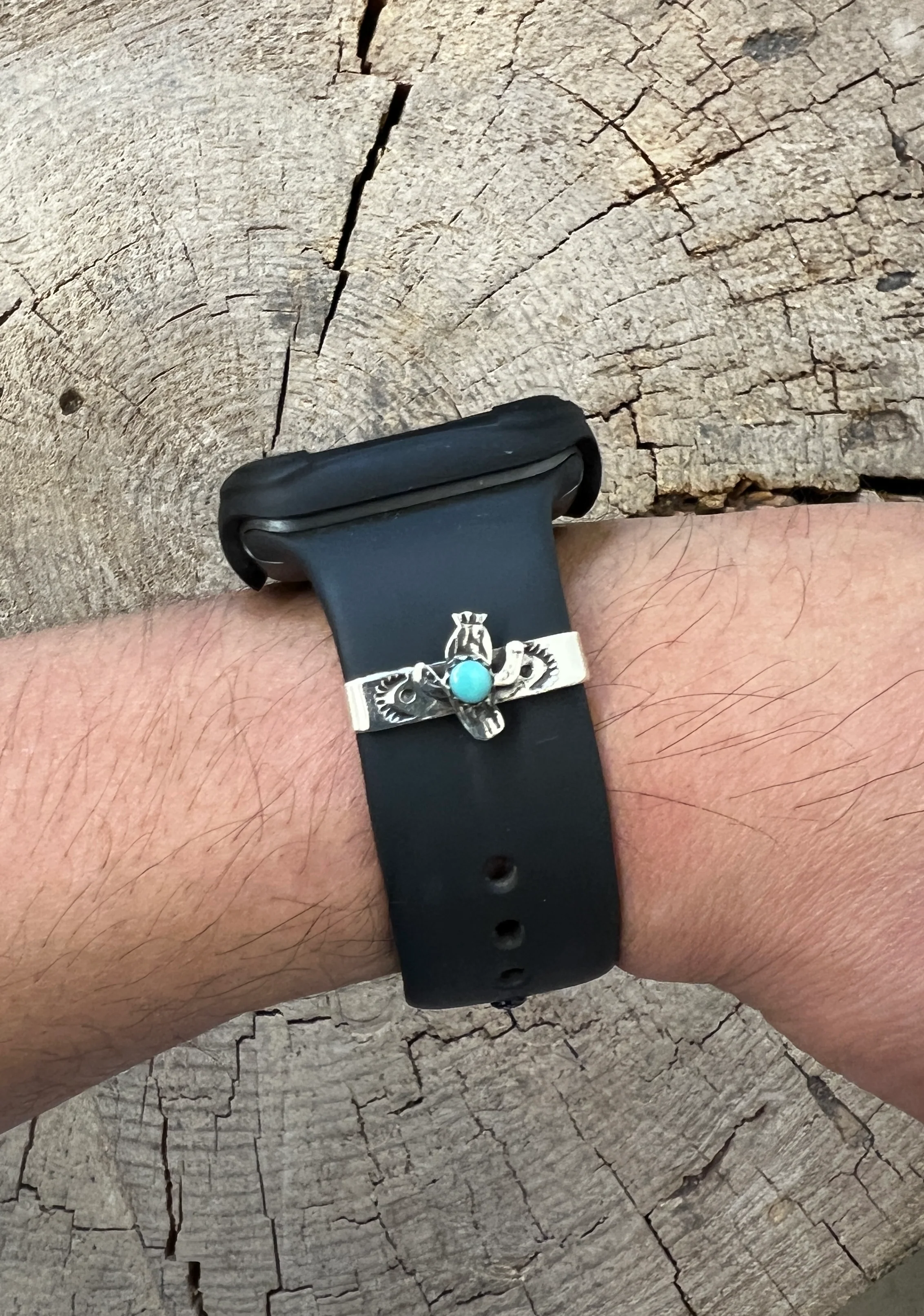 Chaco Canyon Apple Watch Accessory Saguaro Cactus Turquoise - Image 3